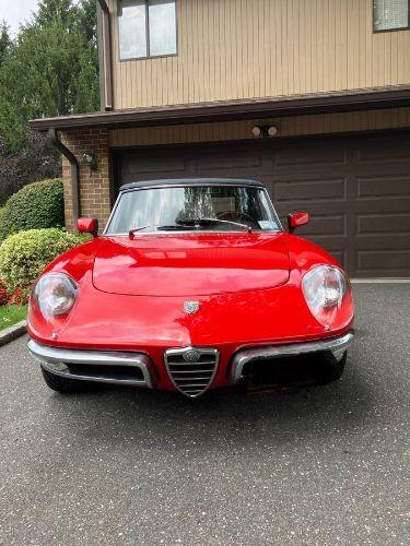 1969 Alfa Romeo Spider