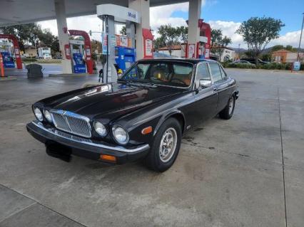 1984 Jaguar XJ6