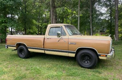 1985 Dodge Ram