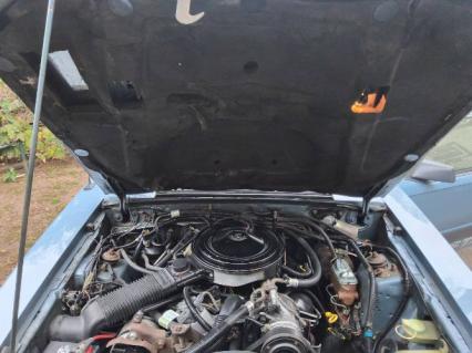 1986 Ford Mustang