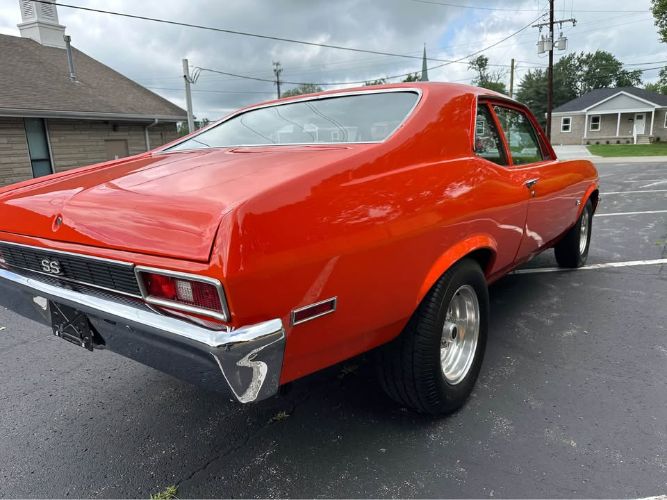 Image 15