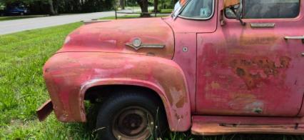 1956 Ford F100