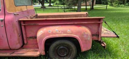 1956 Ford F100