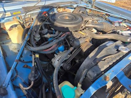 1979 Dodge Diplomat