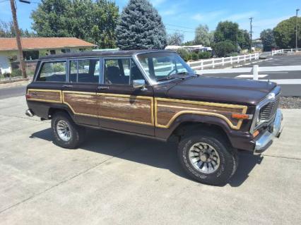 1989 Jeep Grand Wagoneer