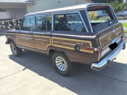 1989 Jeep Grand Wagoneer