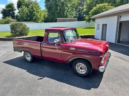 1964 Ford F100