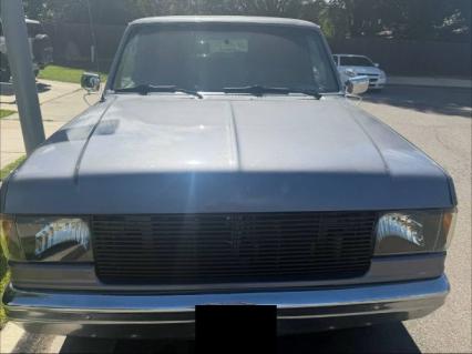 1990 Ford F250