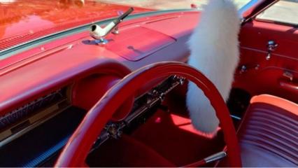1963 Ford Galaxie
