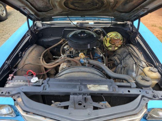 Image 21