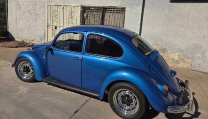 1966 Volkswagen Beetle