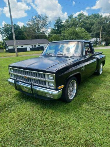 1981 Chevrolet Silverado