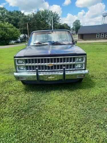 1981 Chevrolet Silverado