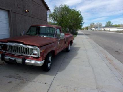 1981 Jeep J10