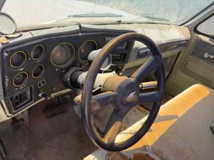 1973 Chevrolet C20