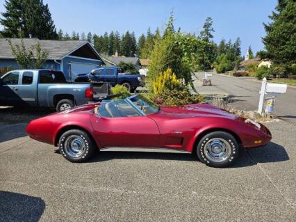 1974 Chevrolet Corvette