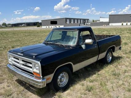 1990 Dodge D150
