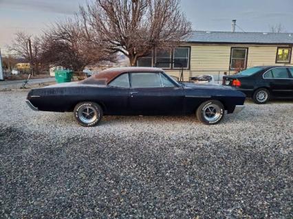 1987 Buick Special