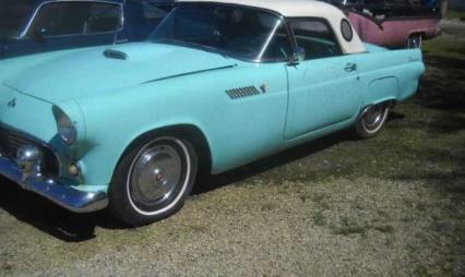 1955 Ford Thunderbird