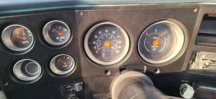1979 Chevrolet 1500