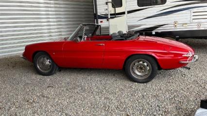 1967 Alfa Romeo Duetto