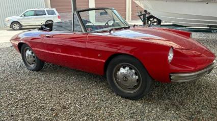 1967 Alfa Romeo Duetto