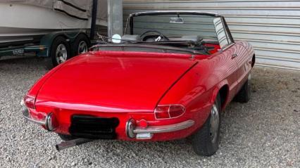 1967 Alfa Romeo Duetto