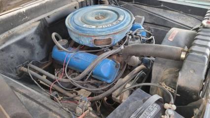 1965 Ford F100