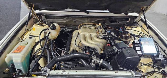 Image 17