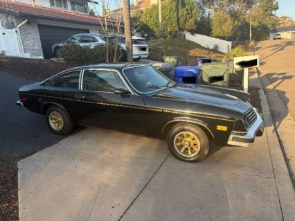 1975 Vega Cosworth