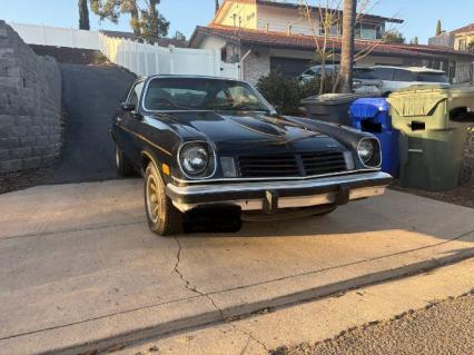 1975 Vega Cosworth
