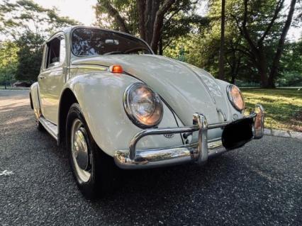1966 Volkswagen Beetle