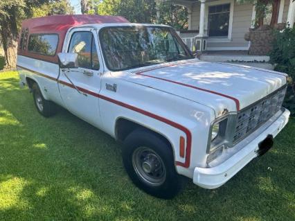1977 Chevrolet C20
