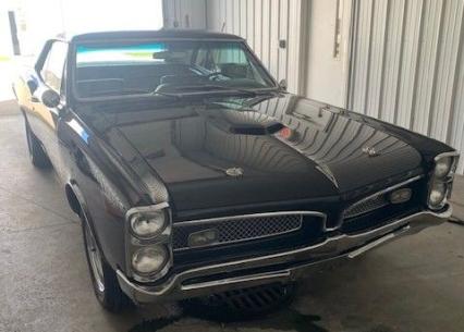 1967 Pontiac GTO  Tribute