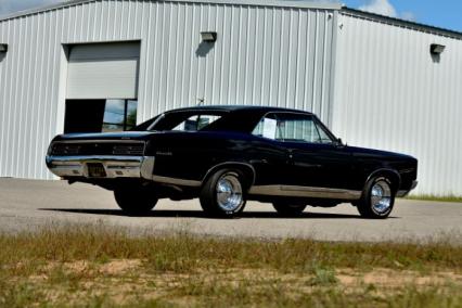 1967 Pontiac GTO  Tribute