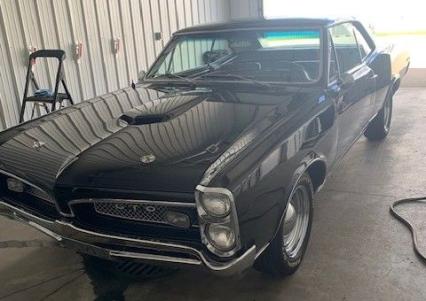 1967 Pontiac GTO  Tribute