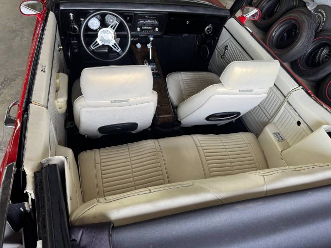 Image 15