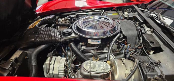 Image 11
