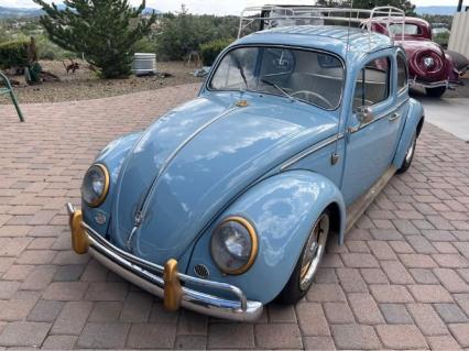 1984 Volkswagen Beetle