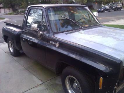 1979 Chevrolet Scottsdale
