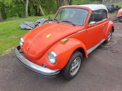 1979 Volkswagen Beetle