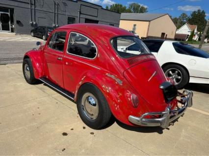 1967 Volkswagen Beetle