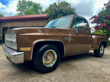 1981 Chevrolet Scottsdale