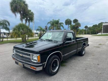 1991 Chevrolet S10