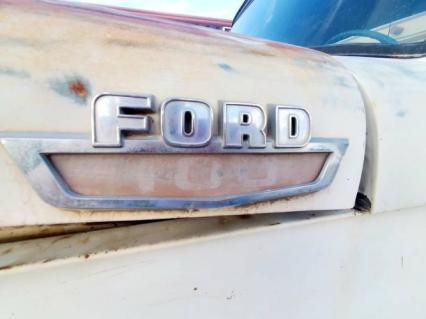 1964 Ford F100