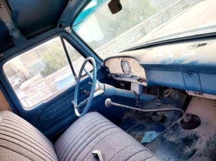 1964 Ford F100