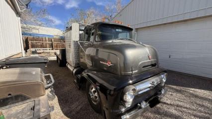 1956 Ford F100