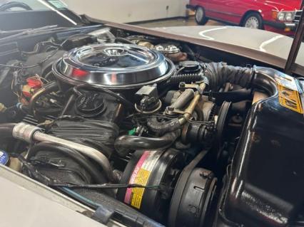 1981 Chevrolet Corvette