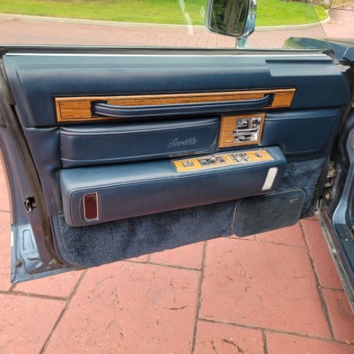 Image 19