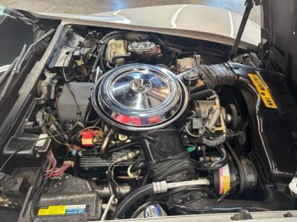 1981 Chevrolet Corvette